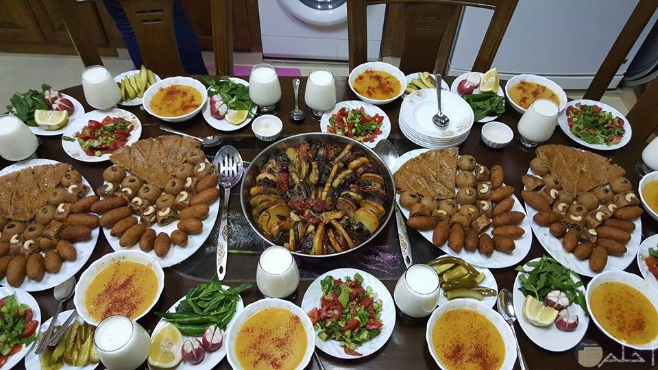 اكل عربى